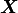\boldsymbol{X}