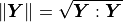 \left\Vert \boldsymbol{Y}\right\Vert =\sqrt{\boldsymbol{Y}:\boldsymbol{Y}}