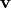\mathbf{v}
