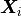 \bm{X}_i