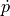 \dot{p}