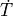 \dot{T}