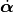 \dot{\bm{\alpha}}