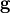 \mathbf{g}