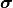 \bm{\sigma}