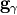 \mathbf{g}_\gamma