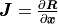 \bm{J} = \frac{\partial \bm{R}}{\partial \bm{x}}