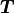 \bm{T}