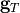 \mathbf{g}_T