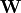 \mathbf{W}