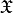 \mathbf{\mathfrak{X}}