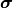 \bm{\sigma}