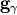 \mathbf{g}_\gamma