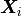 \bm{X}_i